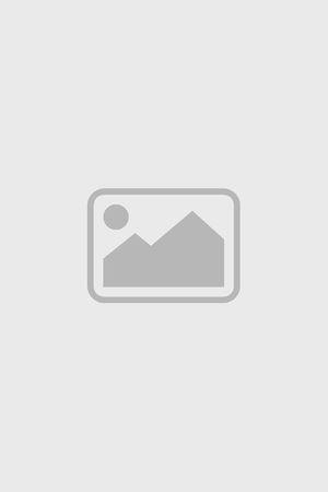 《超级马力欧银河大电影（国语版）》宣传海报